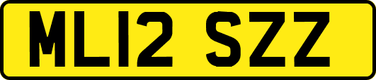 ML12SZZ