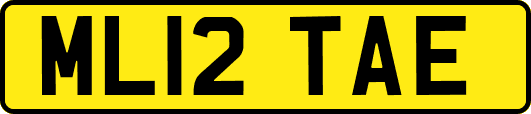 ML12TAE