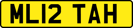 ML12TAH