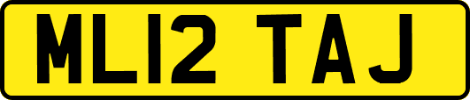 ML12TAJ