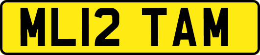 ML12TAM