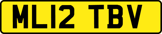 ML12TBV