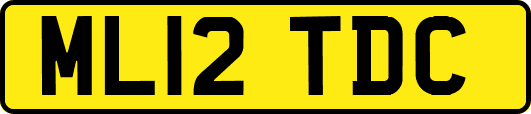 ML12TDC