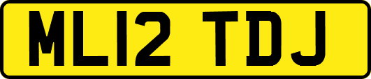 ML12TDJ