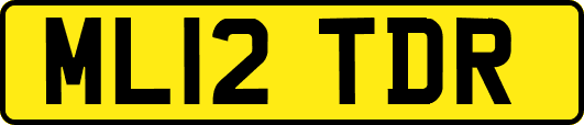 ML12TDR
