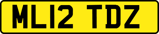 ML12TDZ