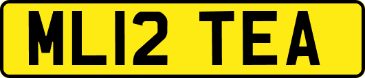 ML12TEA
