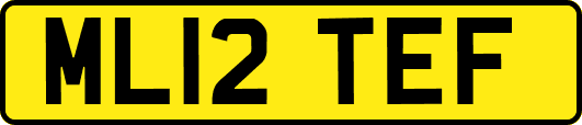 ML12TEF