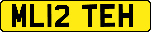 ML12TEH
