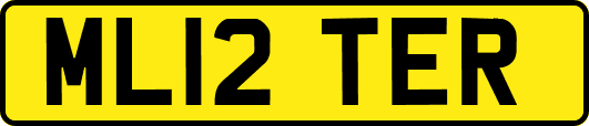ML12TER