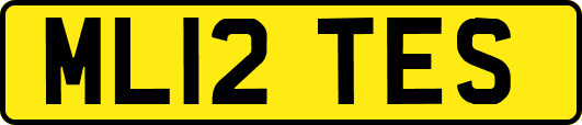 ML12TES