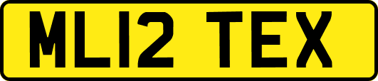 ML12TEX