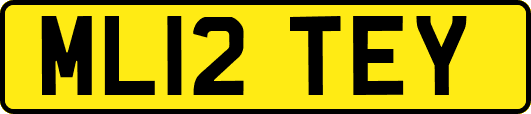 ML12TEY