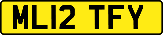 ML12TFY