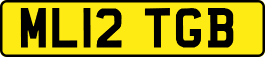 ML12TGB