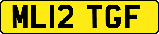 ML12TGF