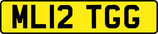 ML12TGG