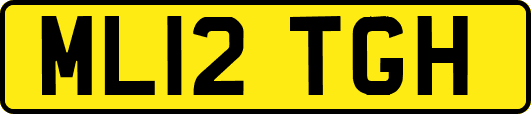 ML12TGH