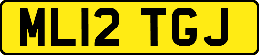 ML12TGJ