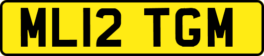 ML12TGM