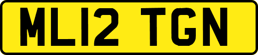 ML12TGN
