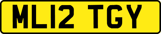 ML12TGY