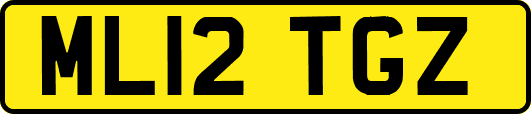 ML12TGZ
