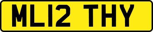 ML12THY