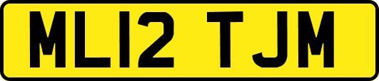 ML12TJM