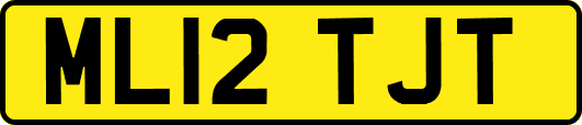 ML12TJT