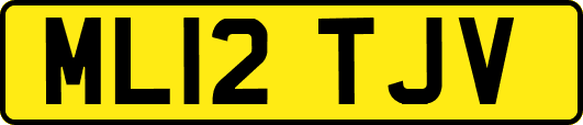 ML12TJV