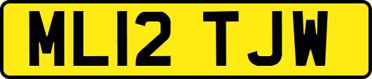 ML12TJW