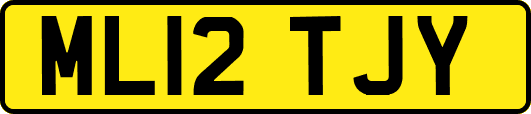 ML12TJY
