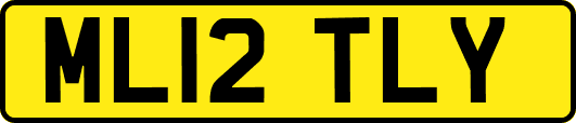 ML12TLY