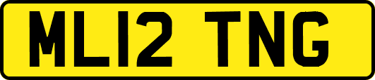 ML12TNG