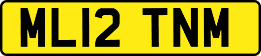 ML12TNM