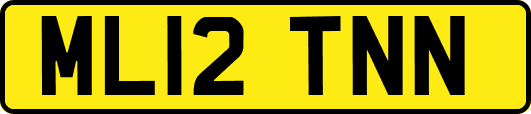 ML12TNN