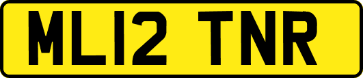 ML12TNR