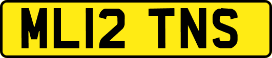 ML12TNS