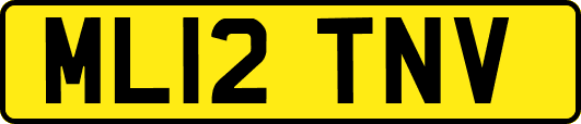 ML12TNV