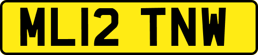 ML12TNW