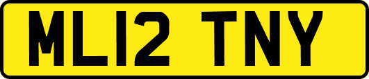 ML12TNY