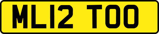 ML12TOO