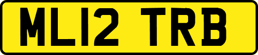 ML12TRB