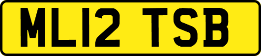ML12TSB