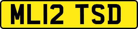 ML12TSD
