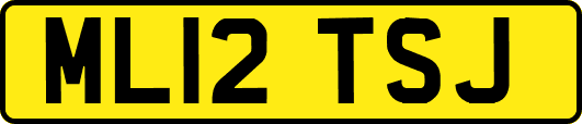 ML12TSJ