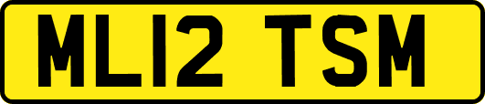 ML12TSM