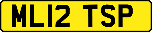 ML12TSP