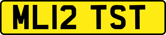 ML12TST